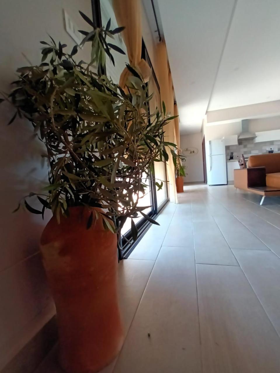 Maison Du Sud *